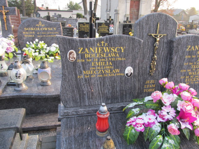 Teofilia Zaniewska Zambrów - Grobonet - Wyszukiwarka osób pochowanych