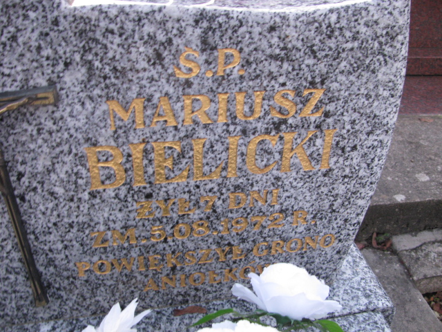 Mariusz Bielicki Zambrów - Grobonet - Wyszukiwarka osób pochowanych